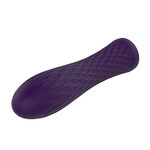 Nalone Ian Bullet Vibrator - Paars