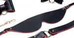 Bow - Luxe BDSM Set Met Reistas