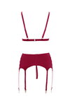 Bra and Suspender Set