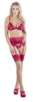 Bra and Suspender Set