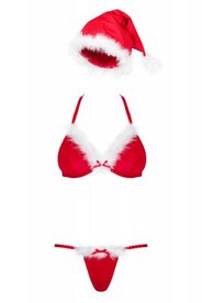 Santastic Sexy Kerstkostuum Voor Vrouwen