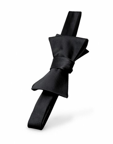His Rules - FSoG Adrenaline Spikes - FSoG &quot;Darker&quot; Bondage Bow Tie