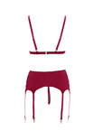 Bra and Suspender Set