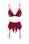 Bra and Suspender Set