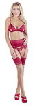 Bra and Suspender Set