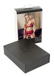 Bra and Suspender Set